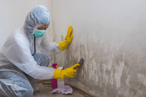 Best Commercial Mold Inspection  in Bartonville, TX